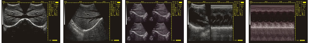 V-20掌上B型超聲診斷儀(動物版)一流的數(shù)字成像技術，圖像更清晰